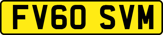 FV60SVM