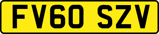 FV60SZV