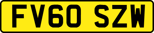 FV60SZW