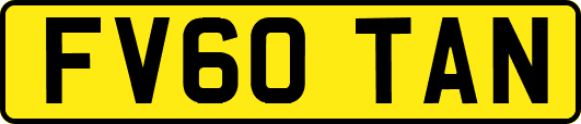 FV60TAN