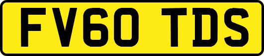 FV60TDS