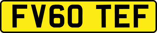 FV60TEF