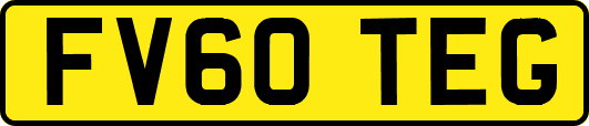 FV60TEG