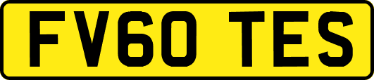 FV60TES