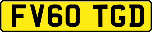 FV60TGD