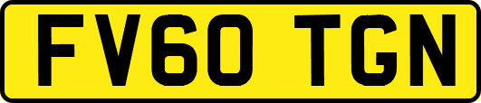 FV60TGN
