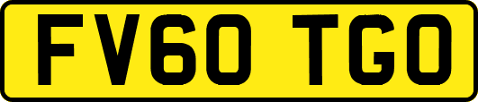 FV60TGO
