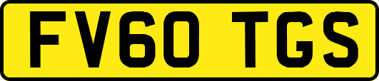 FV60TGS