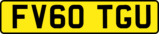 FV60TGU