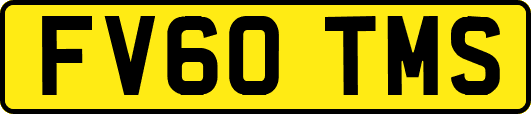 FV60TMS