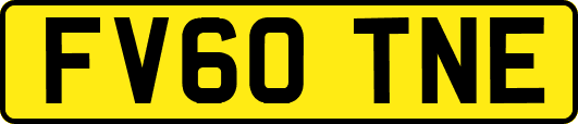 FV60TNE