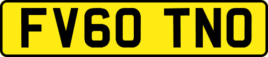 FV60TNO