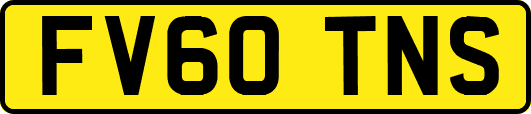 FV60TNS