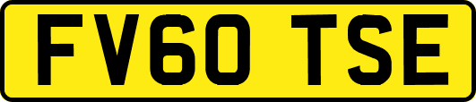 FV60TSE
