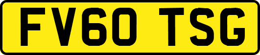 FV60TSG