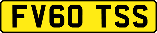FV60TSS