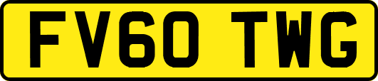 FV60TWG