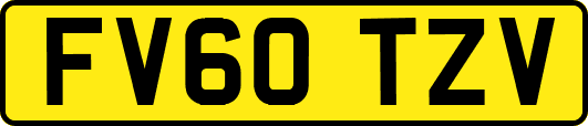 FV60TZV