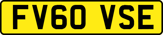FV60VSE