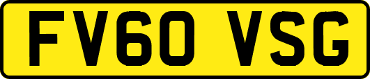 FV60VSG