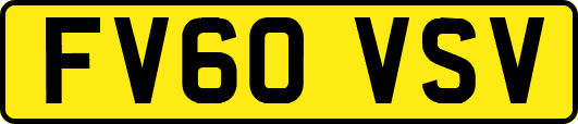 FV60VSV