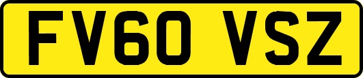 FV60VSZ