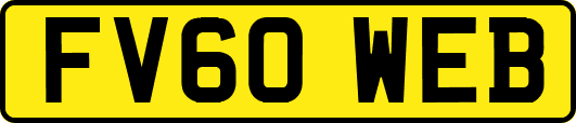 FV60WEB