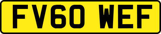 FV60WEF