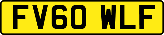 FV60WLF