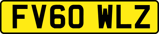 FV60WLZ