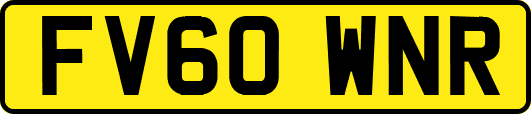 FV60WNR
