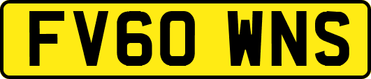 FV60WNS