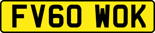 FV60WOK