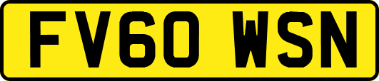 FV60WSN