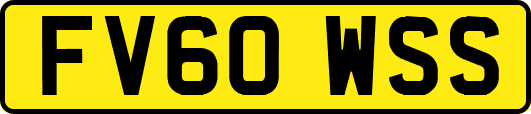 FV60WSS