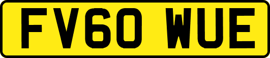 FV60WUE