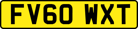 FV60WXT