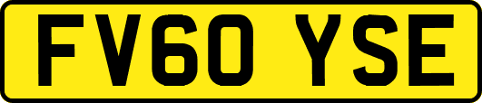 FV60YSE