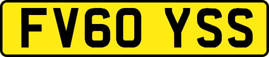 FV60YSS