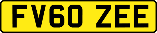 FV60ZEE
