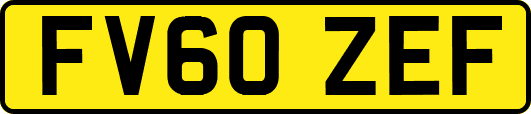 FV60ZEF