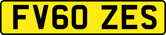 FV60ZES