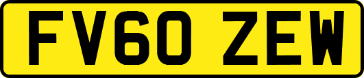FV60ZEW