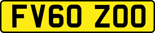 FV60ZOO