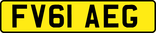 FV61AEG