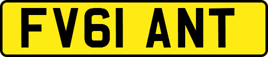 FV61ANT