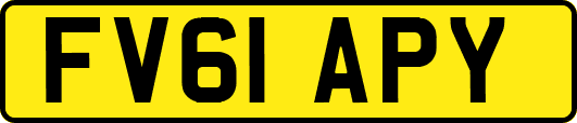 FV61APY