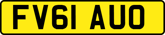 FV61AUO