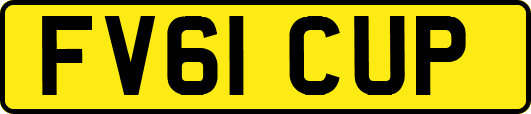 FV61CUP