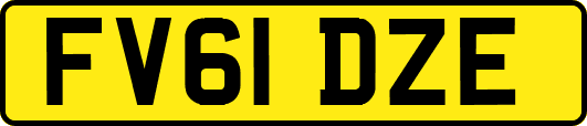 FV61DZE